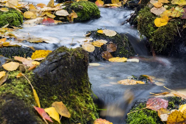 Stream flöde mellan mossiga stenar till sjön — Stockfoto