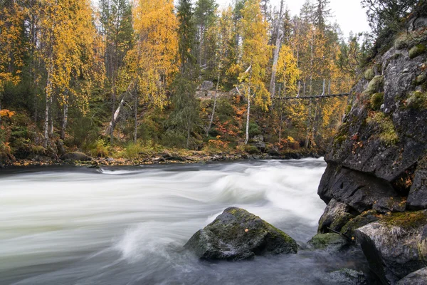 Fluir el flujo del río sobre la costa rocosa robusto — Foto de Stock