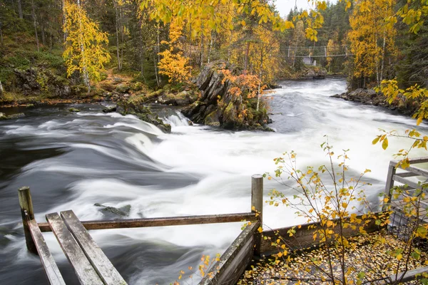 Fluye el flujo del río sobre rifas y rocas — Foto de Stock