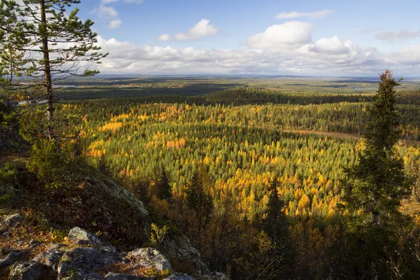 View over autumn forest from rocky mountain — Stock Photo, Image