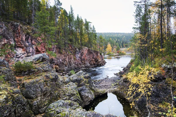 Берег реки, покрытый осенним лесом — стоковое фото