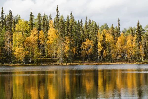 Gölün yüzeyi ve arka plan üzerinde sonbahar orman — Stok fotoğraf