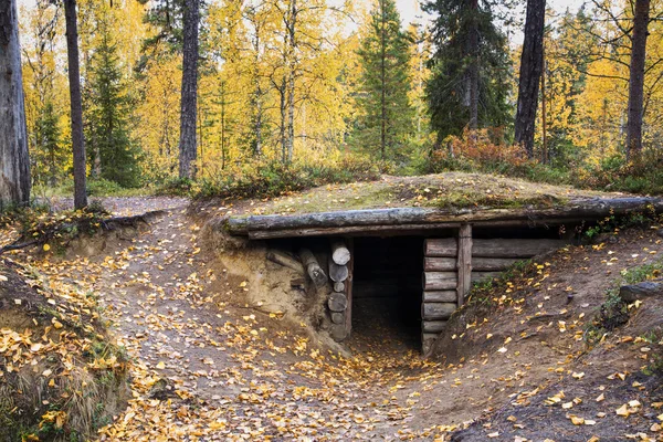 Forest trees and hided from ohers shelter — Stock Photo, Image