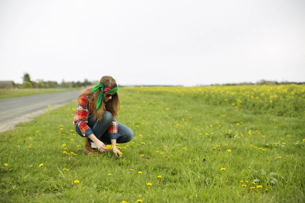 Woman collect flowers near road on field — Stock Photo, Image