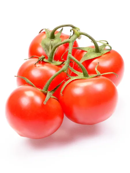 I pomodori succosi freschi — Foto Stock