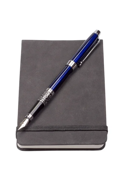 Щоденник з синьою ручкою фонтану — стокове фото