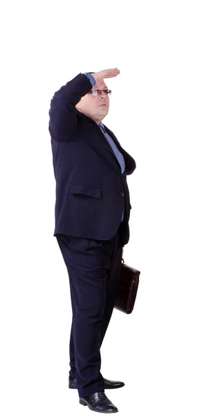 Businessman isolated — Stock Photo, Image