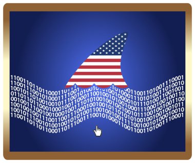 Amerikan denetim web kavramı