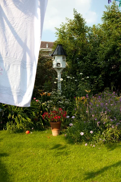 Washing drying garden flowers — Stock Photo, Image