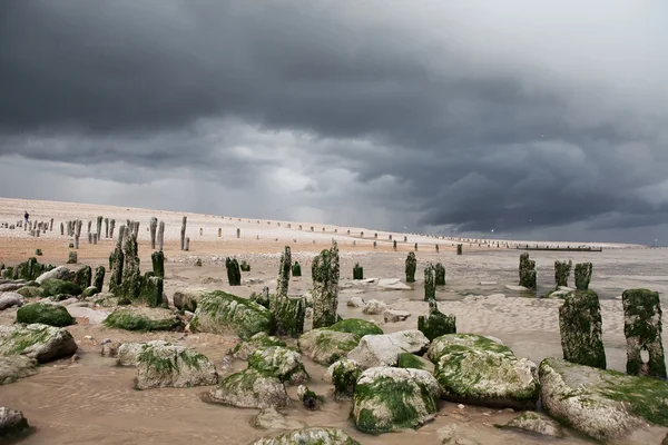 Praia litoral tempestade costa Fotos De Bancos De Imagens