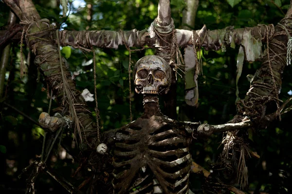 Skeleton schedel offer dood Stockfoto