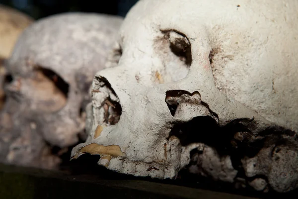 Skeleton schedel offer dood Stockfoto