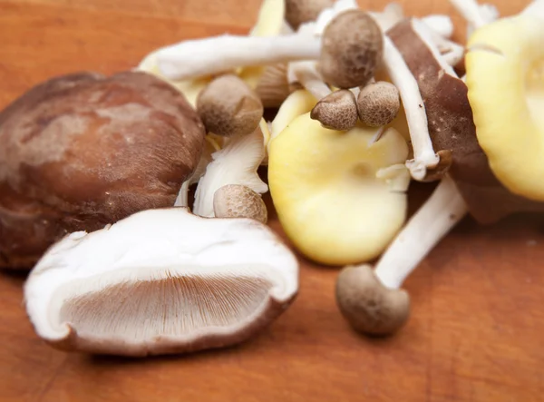 Mushrooms cooking preparing — Stock Photo, Image