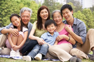 Portrait Of Multi-Generation Chinese Family Relaxing In Park Tog clipart