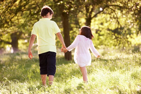 Menino e menina andando através do campo de verão juntos — Fotografia de Stock