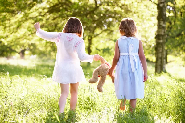 Duas meninas caminhando através do campo de verão carregando ursinho de pelúcia — Fotografia de Stock