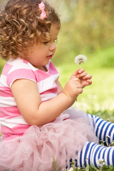 Junges Mädchen im Sommerkleid sitzt im Feld und bläst Löwenzahn — Stockfoto