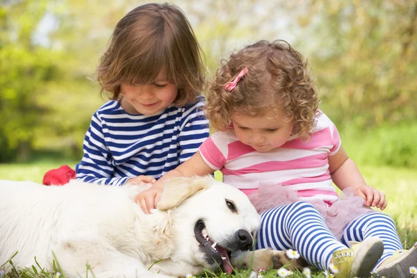 Duas crianças acariciando o cão da família no campo de verão — Fotografia de Stock