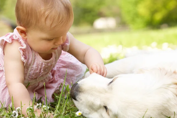 Bébé fille en robe d'été assis dans le champ Petting Family Dog — Photo