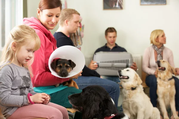 Volles Wartezimmer in der Tierarztpraxis — Stockfoto