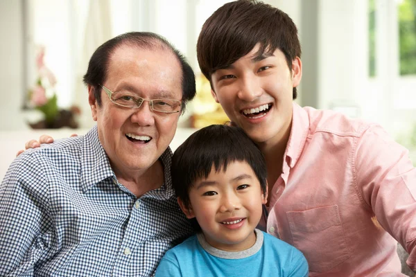 Manliga multi genenration kinesisk familj grupp avkopplande på hometoge — Stockfoto