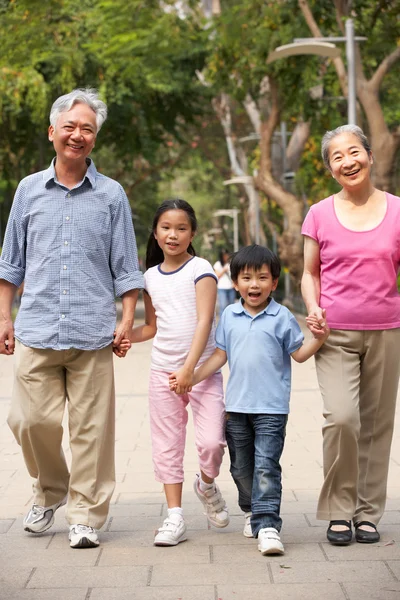 Chinesische Großeltern spazieren mit Enkeln durch Park — Stockfoto