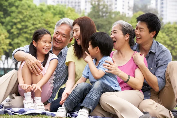 Portrait Of Multi-Generation Chinese Family Relaxing In Park Tog — Stock Photo, Image