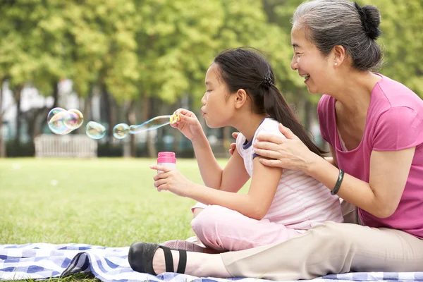 Cinese nonna con nipote in parco soffiare bolle — Foto Stock