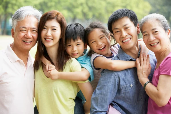 Portrait Of Multi-Generation Chinese Family Relaxing In Park Tog — Stock Photo, Image