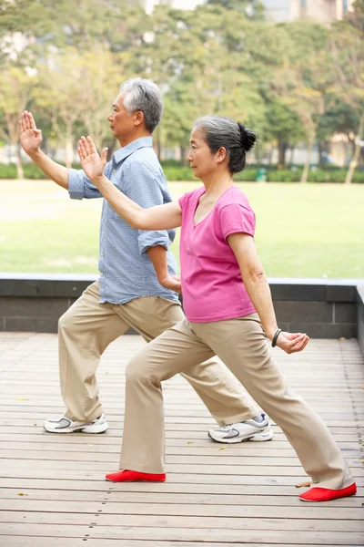 Senior chino pareja haciendo tai chi en parque —  Fotos de Stock