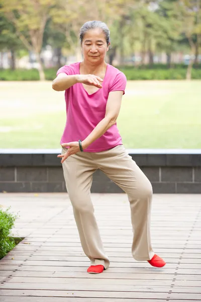 Mulher chinesa sênior fazendo Tai Chi no parque — Fotografia de Stock