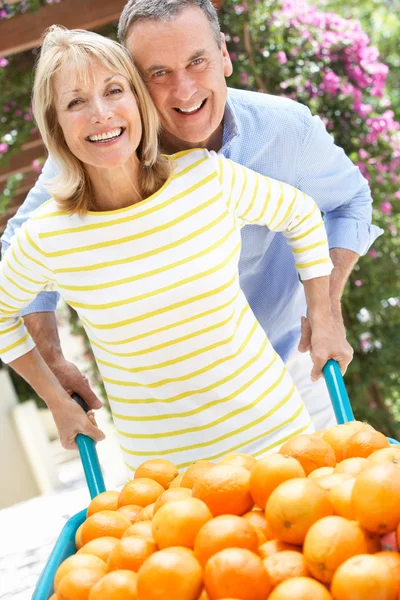 Pareja mayor empujando carretilla llena de naranjas — Foto de Stock