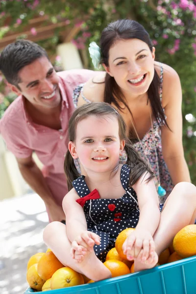 Parents Pushing Daughter In Wheelbarrow Filled With Oranges — Stock Photo, Image