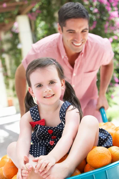 Батько штовхає дочку в інвалідному візку заповнений апельсинами — стокове фото