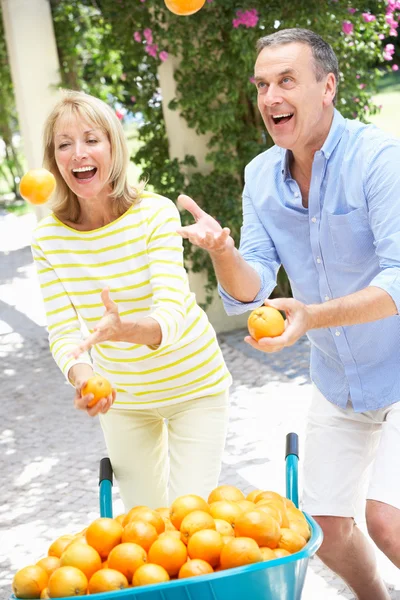 Senior Couple Juggling Oranges In Front Of Wheelbarrow — Stock Photo, Image