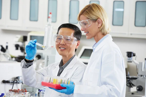 Científicos masculinos y femeninos trabajando en laboratorio —  Fotos de Stock