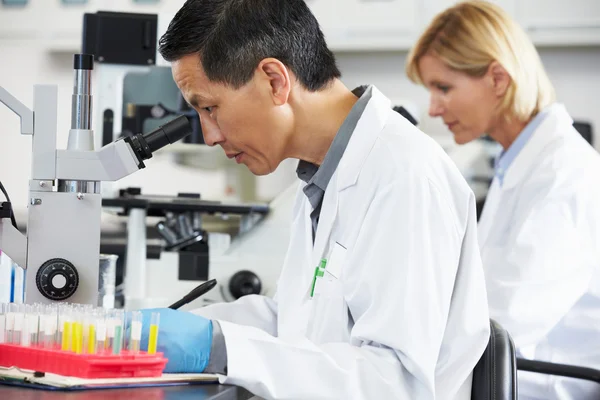 Científicos masculinos y femeninos usando microscopios en laboratorio — Foto de Stock