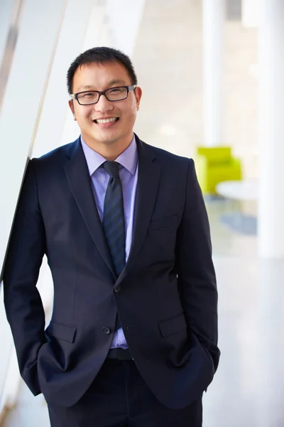 Retrato del hombre de negocios de pie Recepción moderna de la oficina —  Fotos de Stock