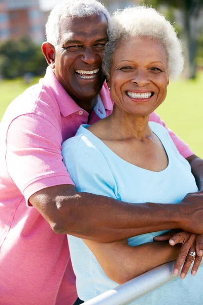 Utomhus porträtt av lyckliga äldre par — Stockfoto