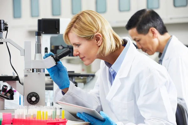 Female Scientist Using Tablet Computer In Laboratory — Stock Photo, Image