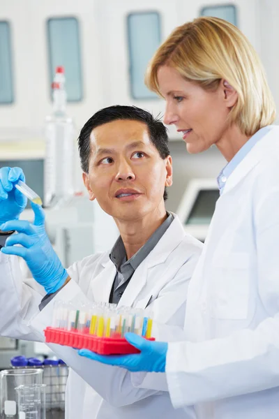 Científicos masculinos y femeninos trabajando en laboratorio — Foto de Stock