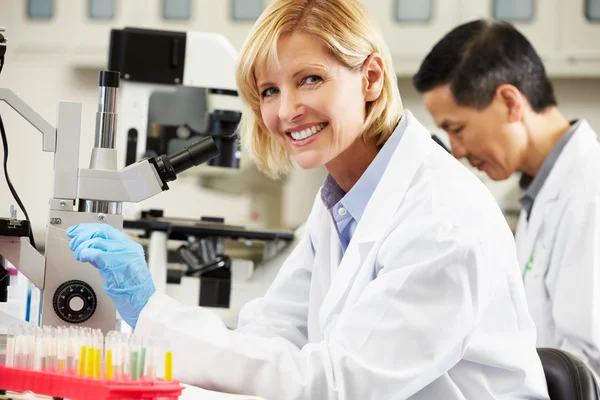 男性和女性科学家在实验室使用显微镜 — 图库照片
