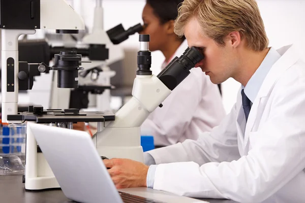 Científicos masculinos y femeninos usando microscopios en laboratorio —  Fotos de Stock