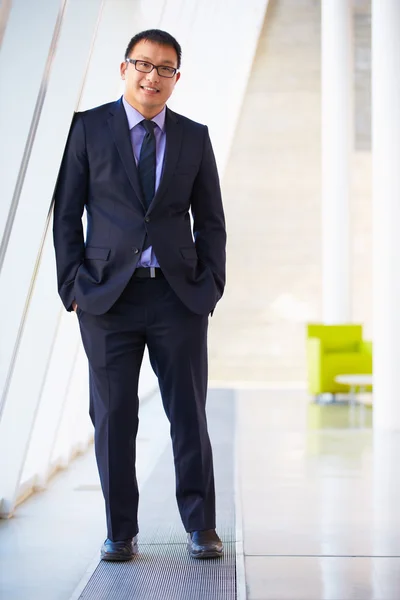 Retrato del hombre de negocios de pie Recepción moderna de la oficina — Foto de Stock