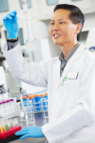 Mannelijke wetenschapper werkzaam in laboratorium — Stockfoto