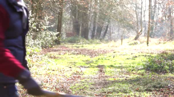 Mann geht mit Hund im Wald spazieren — Stockvideo