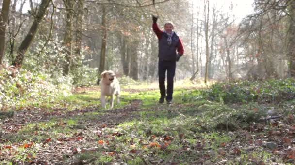 Homem com seu cão na floresta jogando buscar — Vídeo de Stock