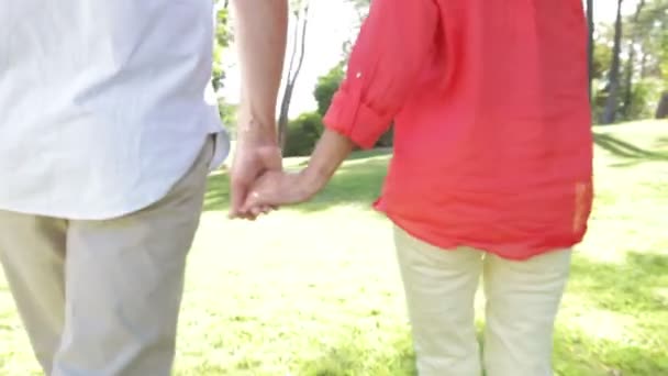 Романтическая старшая пара, держащаяся за руки, когда они идут по тропинке . — стоковое видео