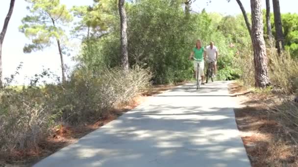 Romântico casal sênior de ciclismo ao longo do caminho do país — Vídeo de Stock