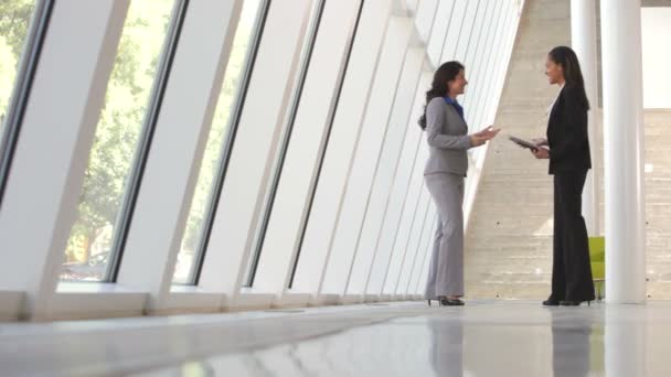 Duas mulheres de negócios em pé à janela no escritório moderno ter reunião informal . — Vídeo de Stock